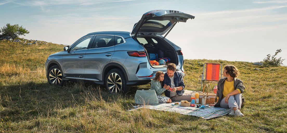 ImagenGaleríaMultiple